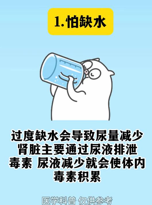肾脏有四样最怕之事，久拖易诱发肾衰竭