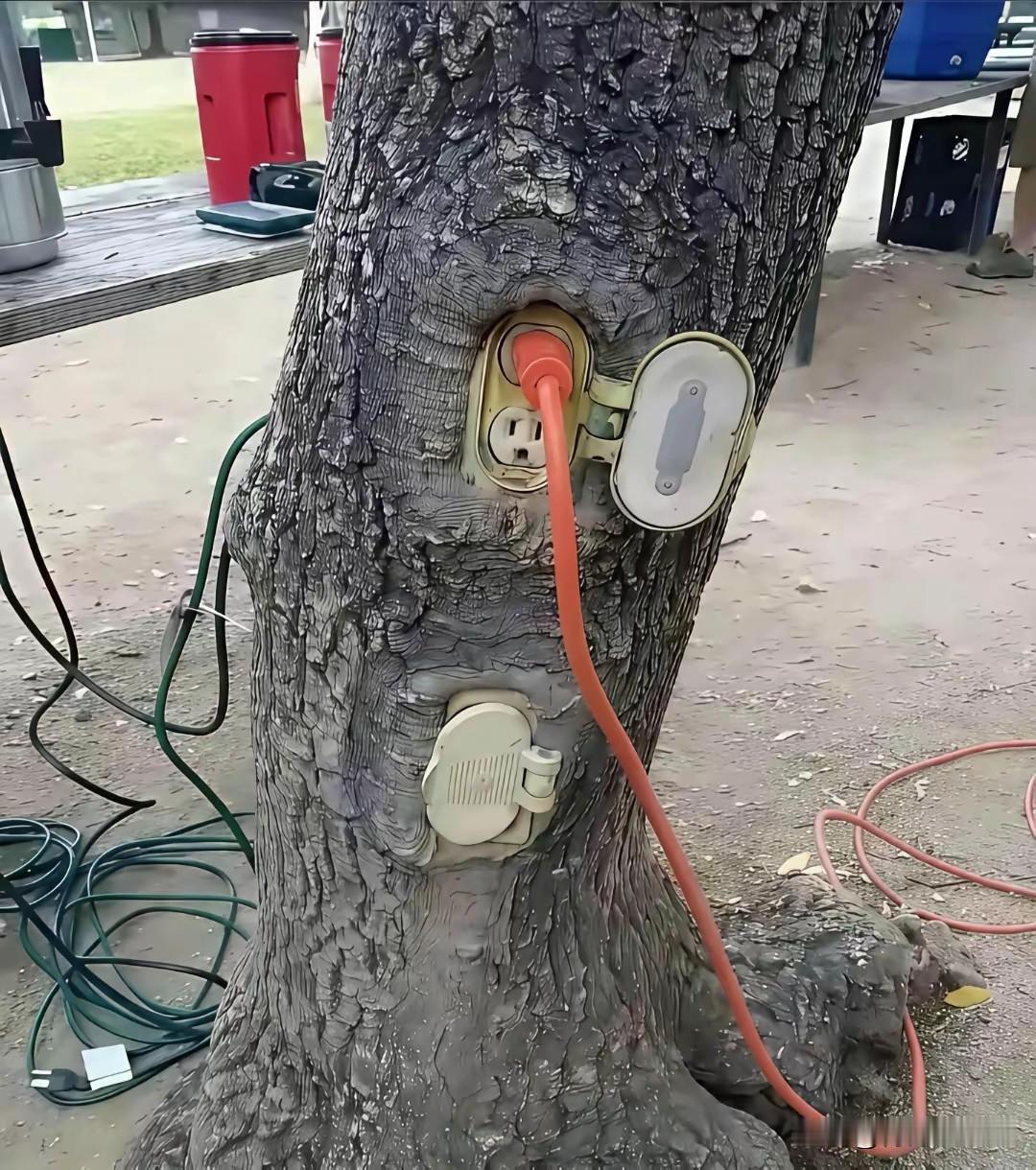 这是人才[笑着哭]