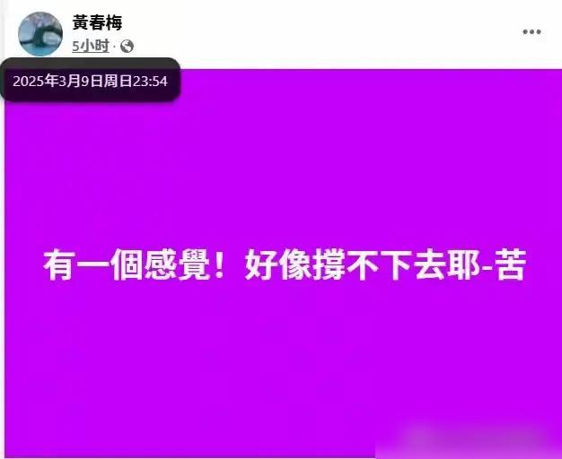 深夜刷到S妈黄春梅那句“好像撑不下去”，心里猛地揪了一下。这位70岁的母亲接连六