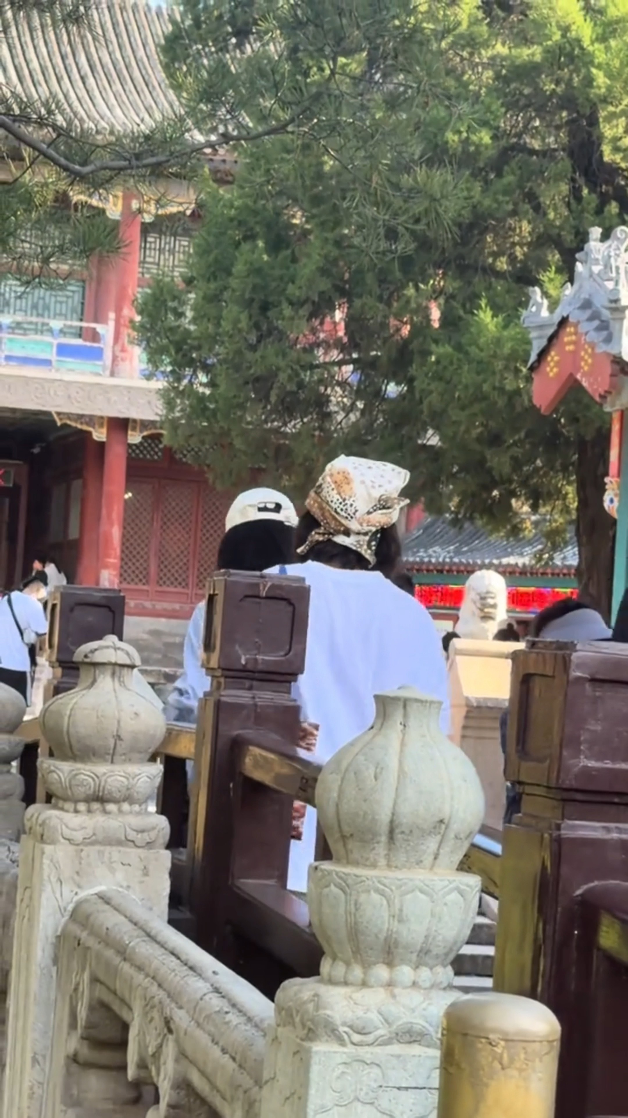 杨紫我喜欢你爱你并不仅仅因为你是闪闪发光的大明星我喜欢看你的剧你的综艺