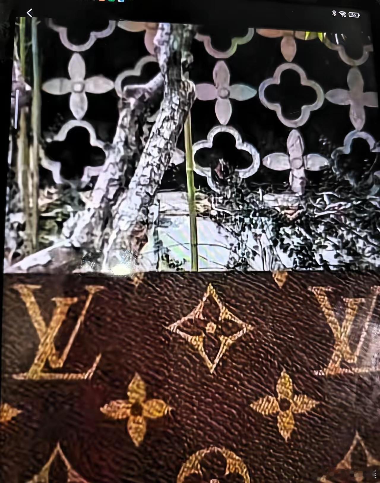 “厕所包”三个字，比“驴牌”狠一万倍。LV法务部刚松口气，公关部估计直接血压爆表