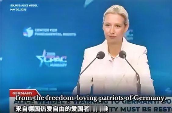 欧洲最大黑马彻底杀出来了！魏德尔民调登顶，她高调表示若当选，将重塑德国格局！每次