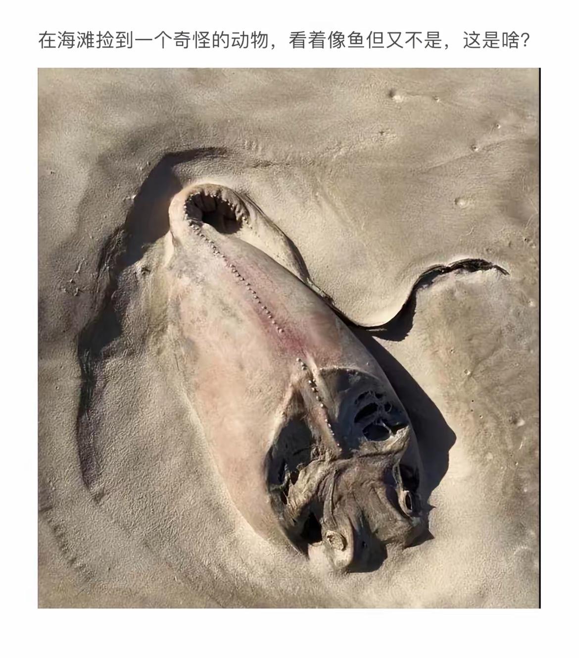 海枯石烂，我与你永相伴