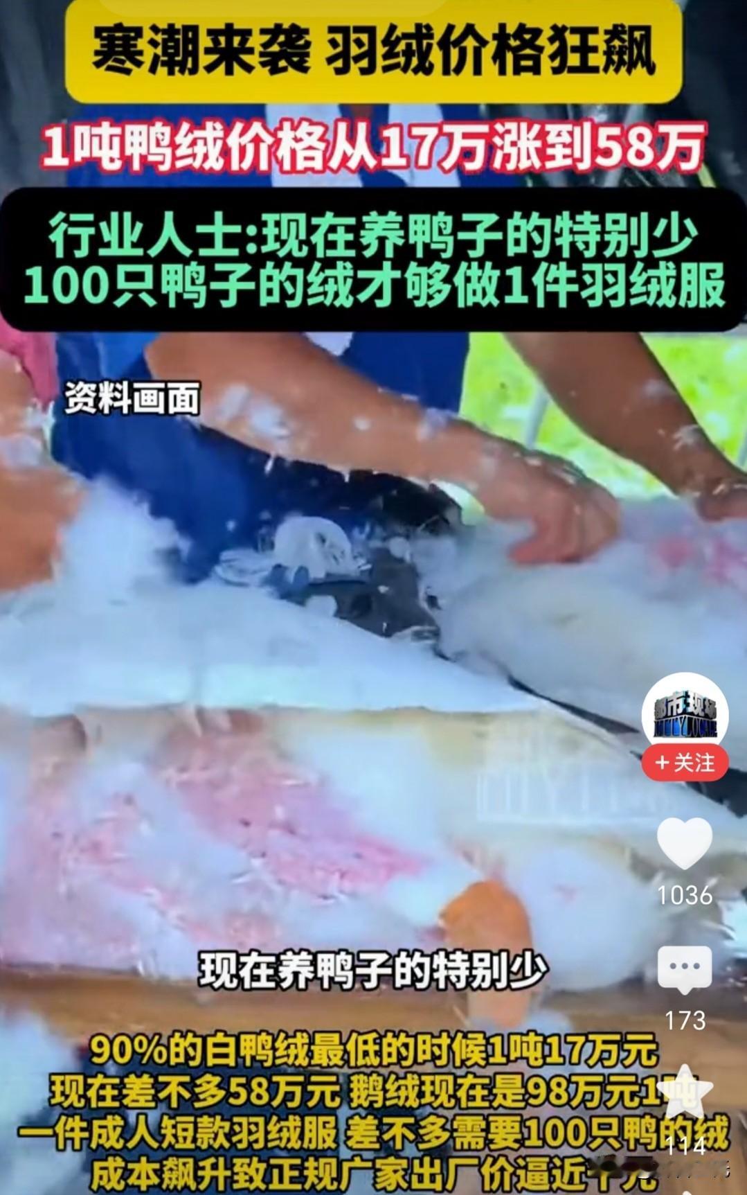 每年冬天都炒一波，我记得去年炒的是鹅绒，今年又开始炒鸭绒了。去年底的新闻标题