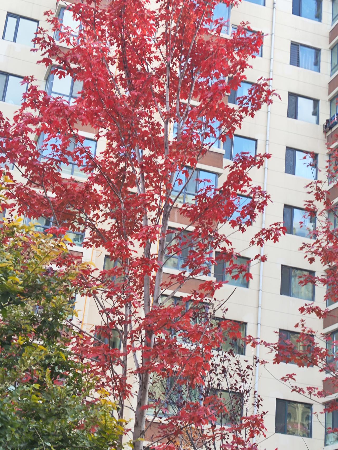 孩子在我们当地三甲医院工作，自从工作以后，经常有朋友找孩子给找医生，孩子是结直肠