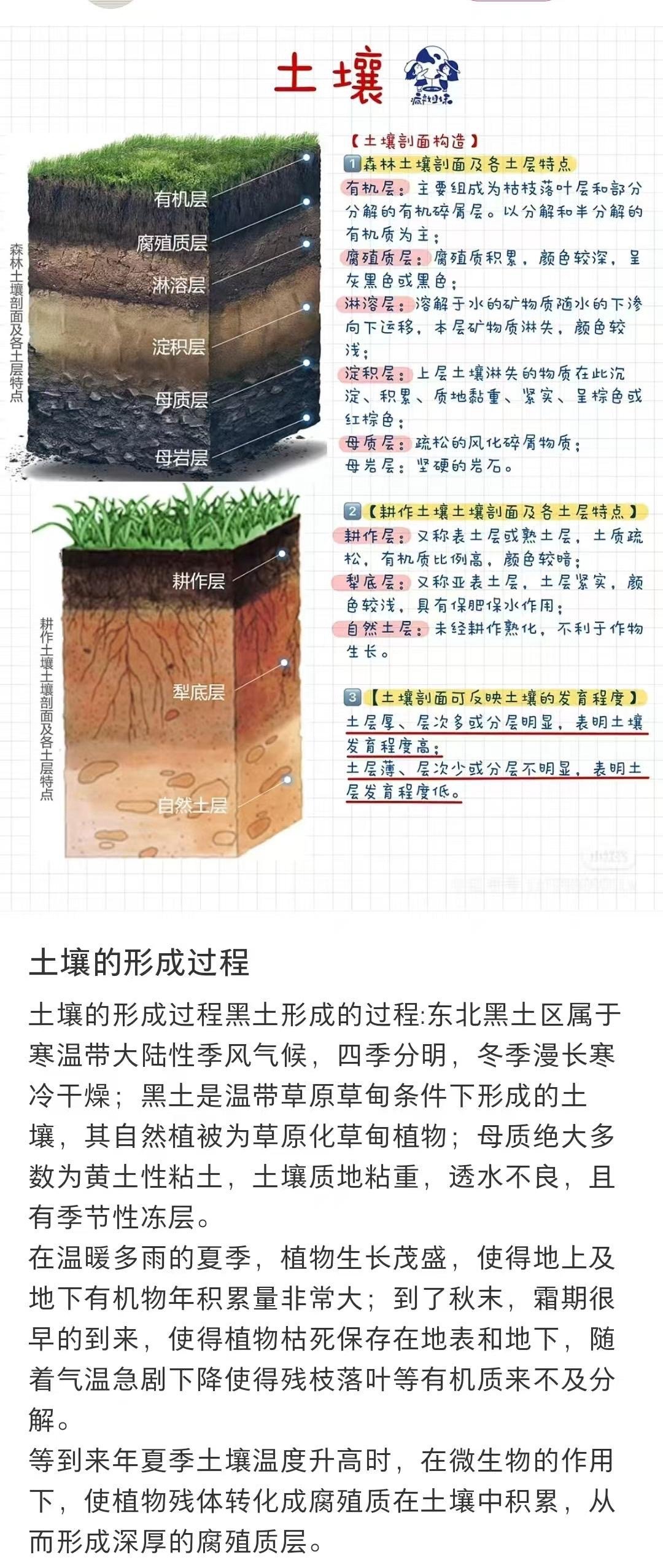 刷到这个冷知识直接震惊！地球原来没土壤，全靠苔藓地衣“死磕”石头🌱亿万年的坚