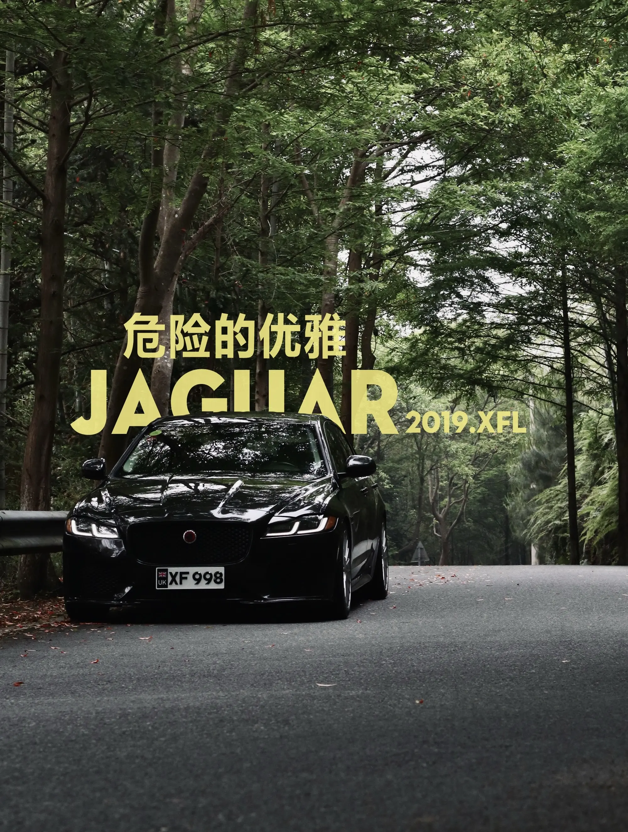 危险的优雅-Jaguar.