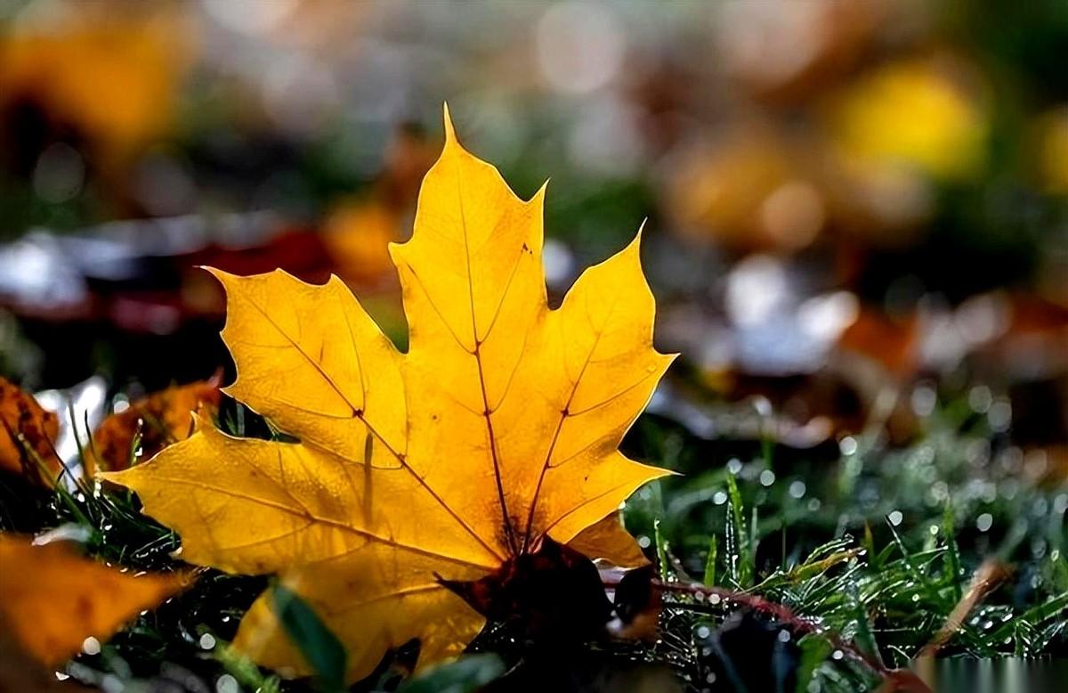 你知道有些人，平时在公司屁都不放一个，闷头干活，突然有一天，老客户转介绍一个大单