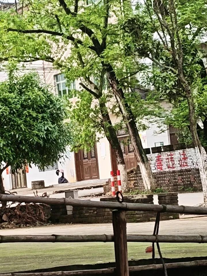 地球在宇宙中极其稀有，是已知范围内独一无二的存在。它的稀有性并非源于行星本身的数