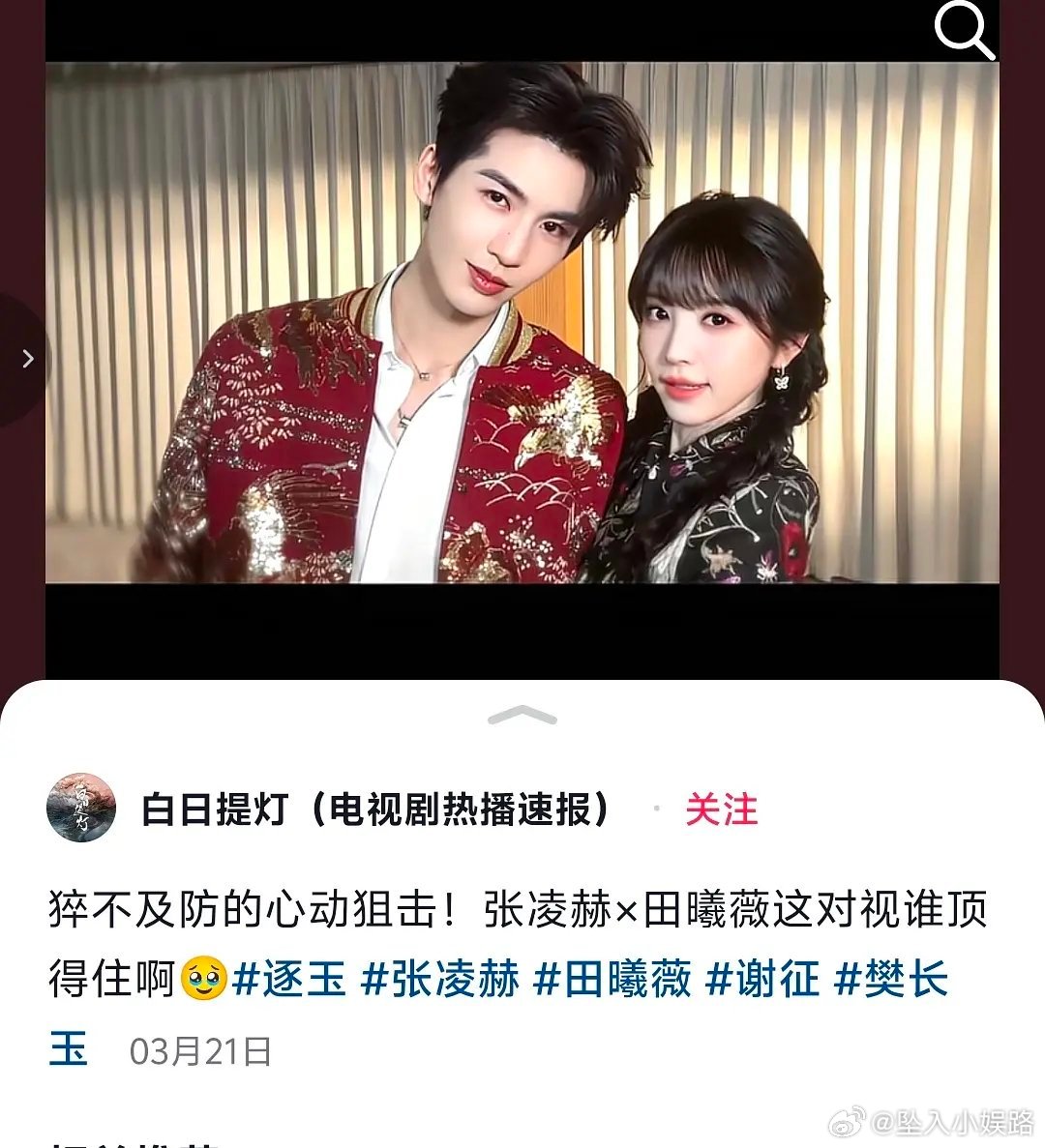 白日提灯和逐玉联姻了吗