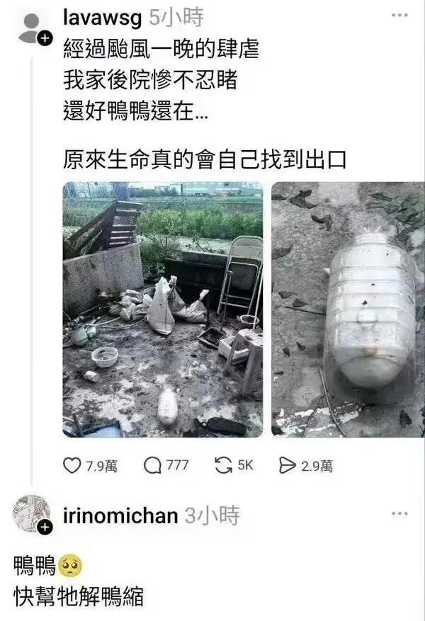原来台湾省的谐音梗也挺逗的！