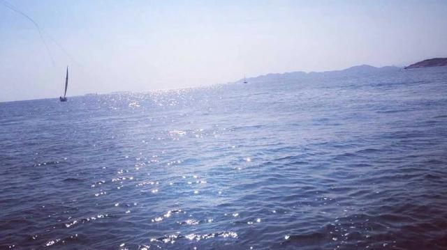 两地书母子情曲谱_两地书母子情图片(4)