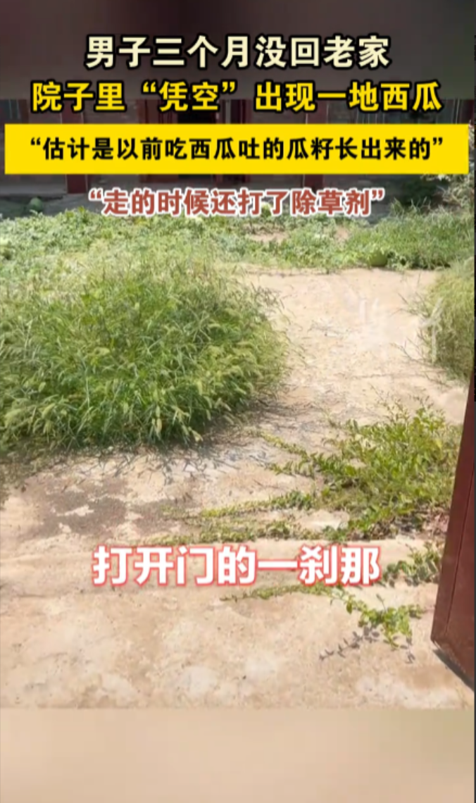 江苏徐州这位男子的经历，活脱脱一部“反向操作指南”,临走前喷了半瓶除草剂防野草