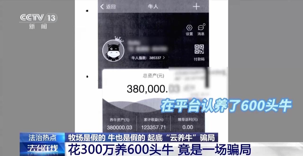 坑惨了！10月13日报道，上海的伍先生投入300万线上认养600头澳洲肉牛，到头