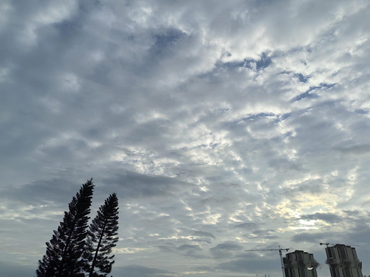 降温啦！降温啦！冷空气正在影响广东，全省喜提换季式降温！25～26日，中等强