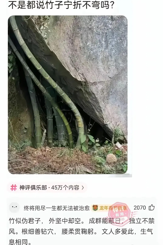 这个总结的非常到位啊。