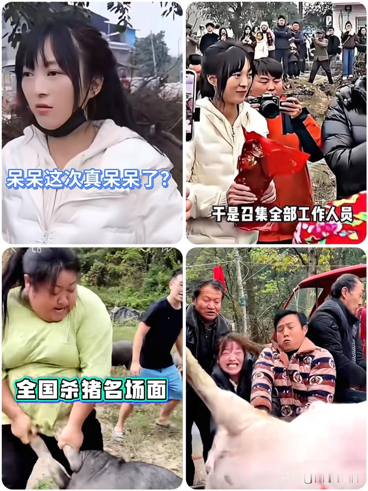 呆呆惹的祸？重庆文旅接住流量带火产业，国际友人都夸绝了…家人们可太逗了