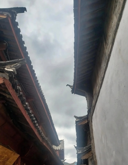 今年挣钱了没？端午节到了，姑爷们出嫁的女儿们打算给家人多少过节费？我