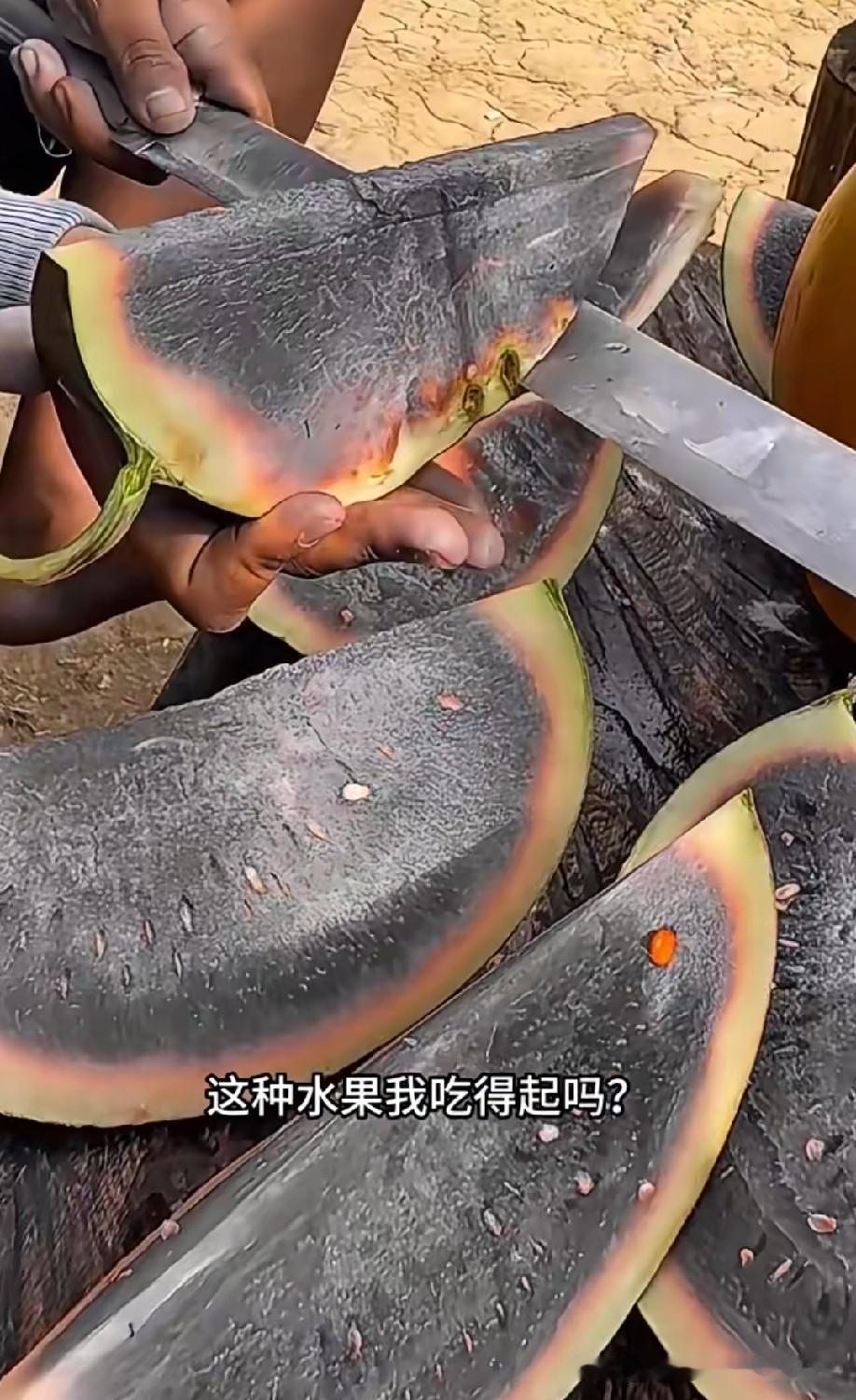 第一次见到这样的西瓜，西瓜长在非洲，也会晒黑[捂脸哭]