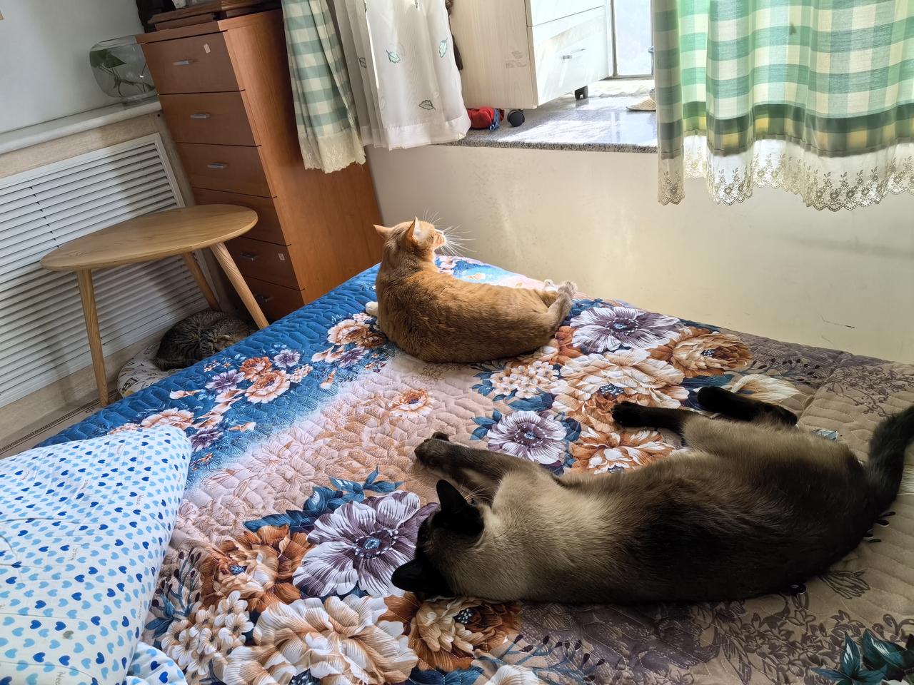 戒个烟有那么难吗？其实就看自身控制力。某人戒烟日记如下:吸烟者：赵性别：男