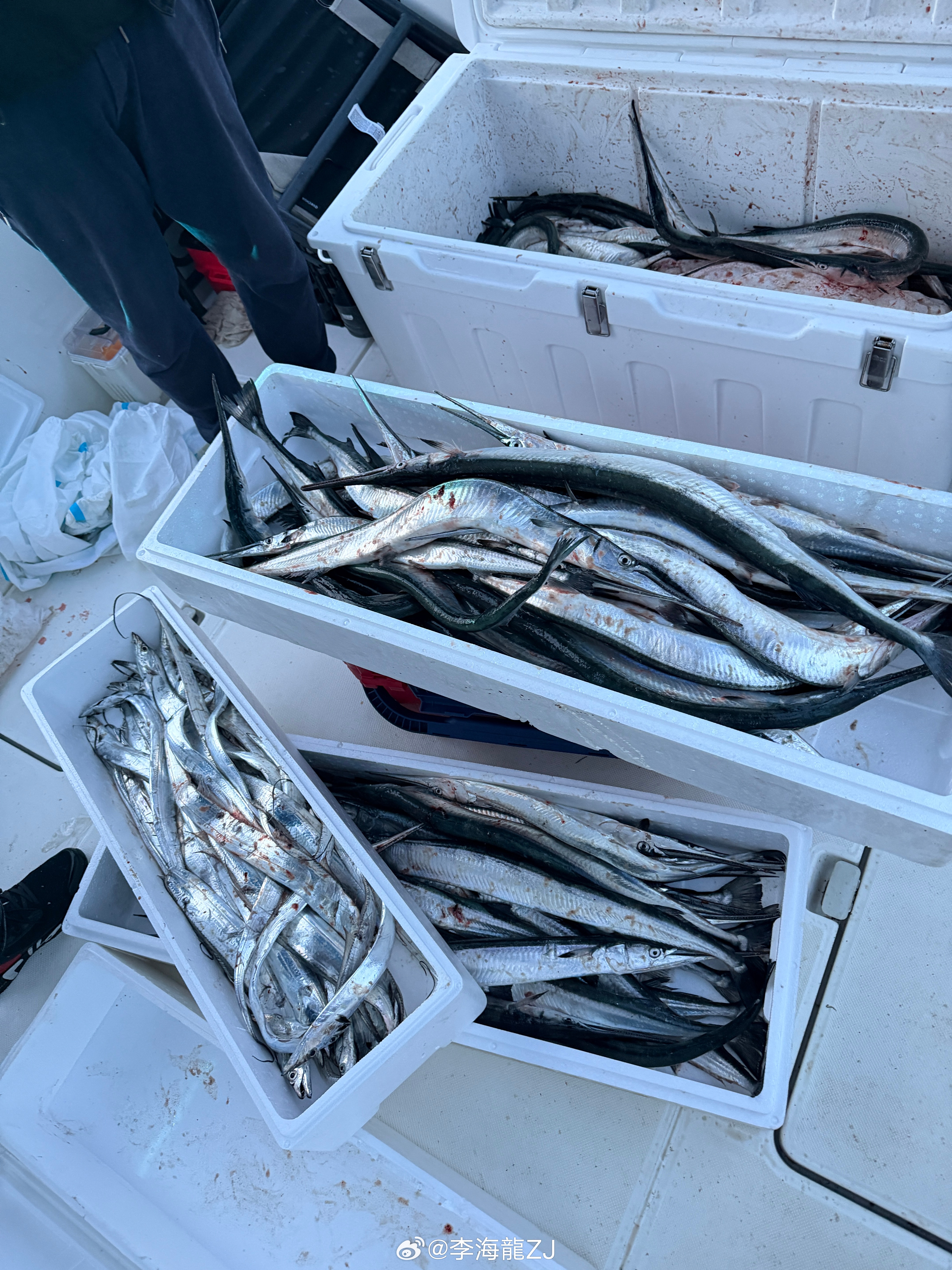 钓鱼🎣活动结束.返杭开工✈️大连·大连周水子国际机场