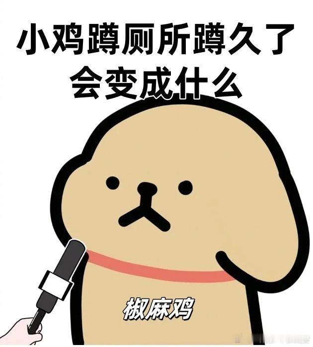 这只小狗也太冷了吧！[大笑][笑着哭]搞笑日常搞笑搞笑不寻常​​​