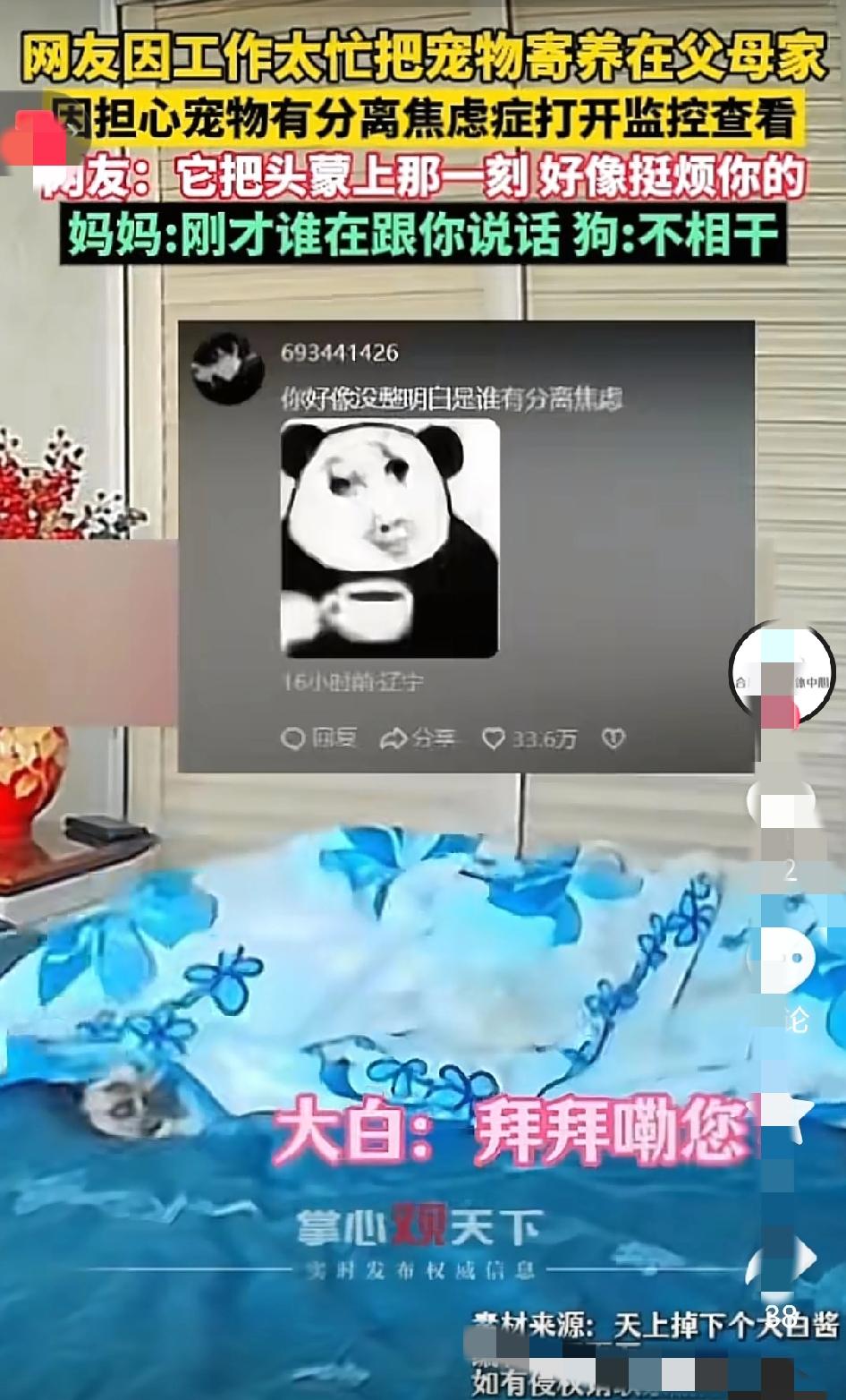 笑不活了！山西一小伙的经历，直接戳破“宠物离不开主人”的假象，原来放不下的是