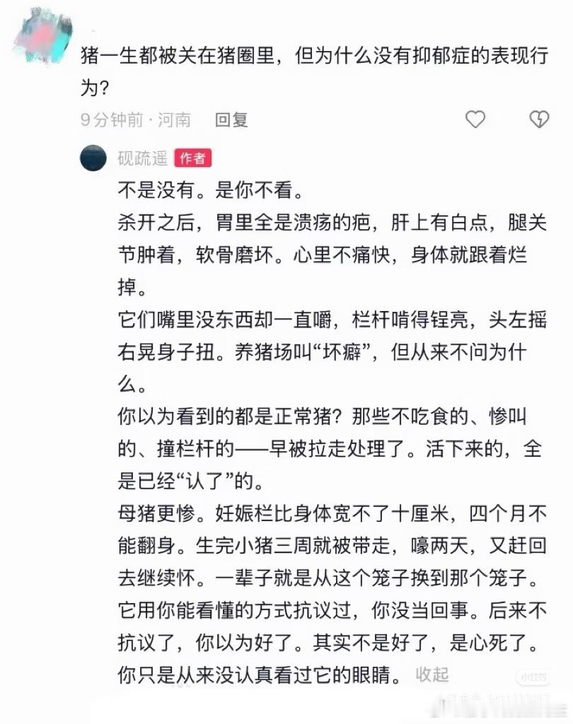 人生下来是一头小猪​​​