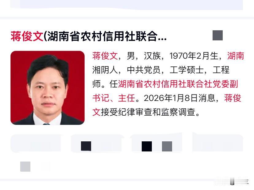 蒋俊文在金融行业工作多年1995年他在湖南株洲建行起步曾在湖南株洲建行多个岗