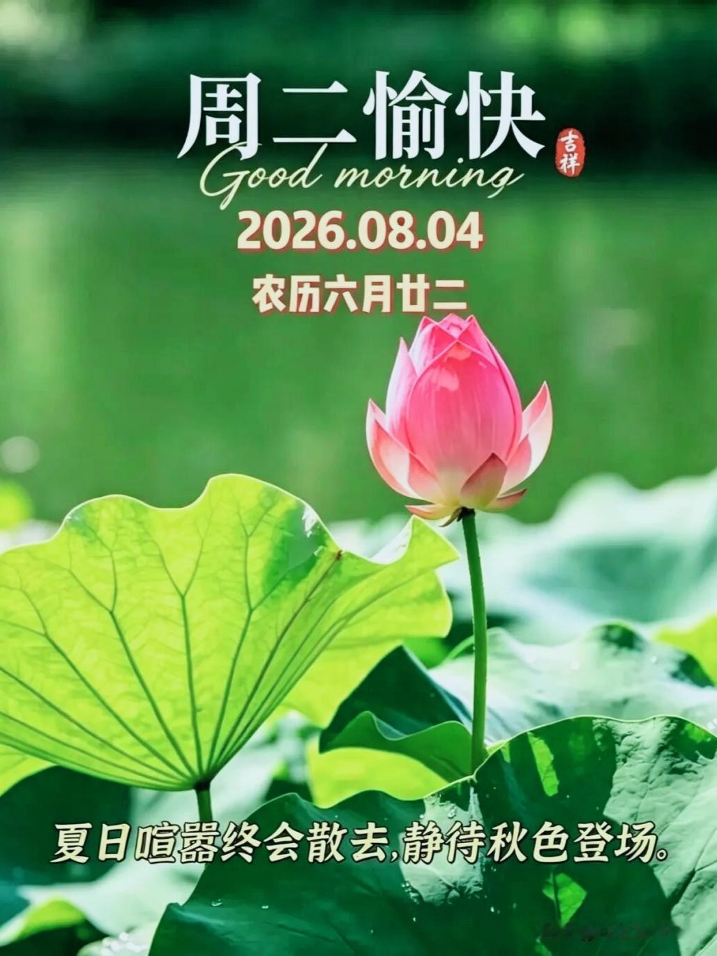 🌻8月4日，周二早安🌻清晨推开窗，微风携着草木的清香，暖阳撒落窗台，新的