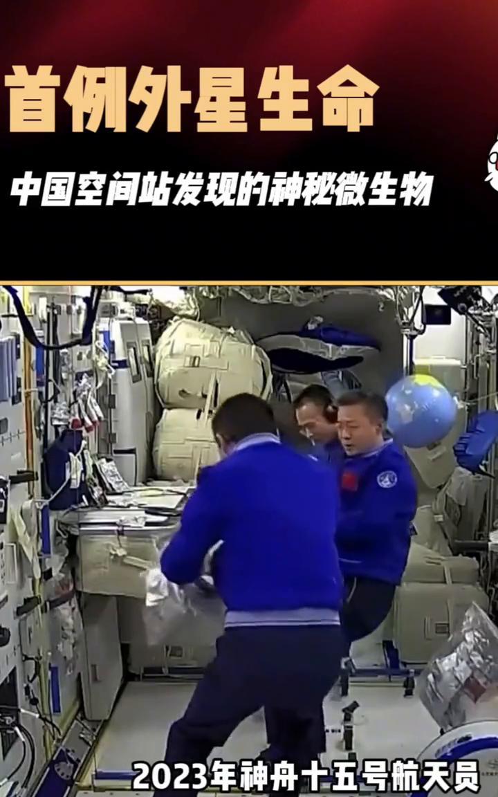 首例外星生命，中国空间站发现的神秘微生物。你敢信吗？中国空间站里居然发现了外星