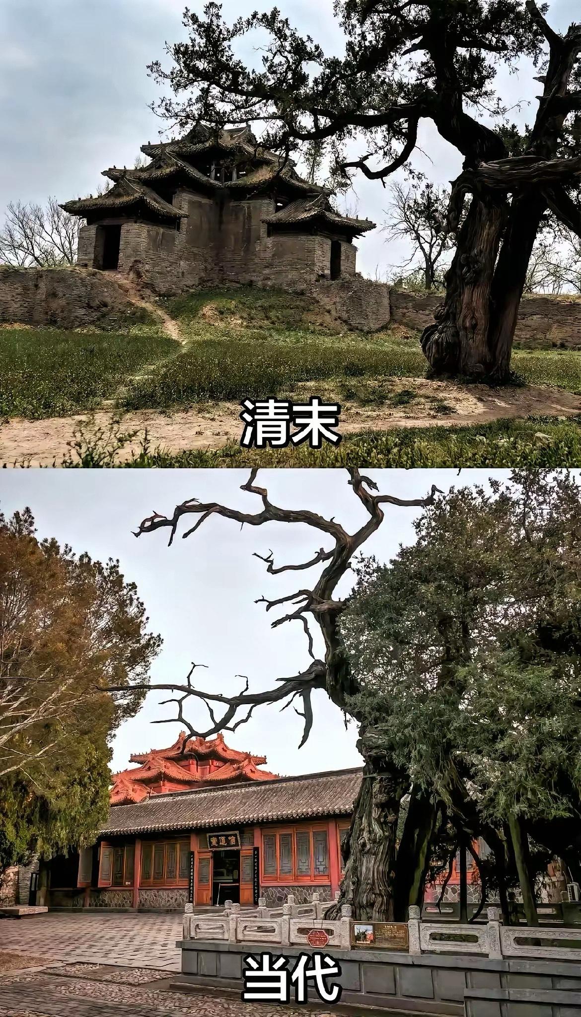 同样的一个地方，时隔一百年。