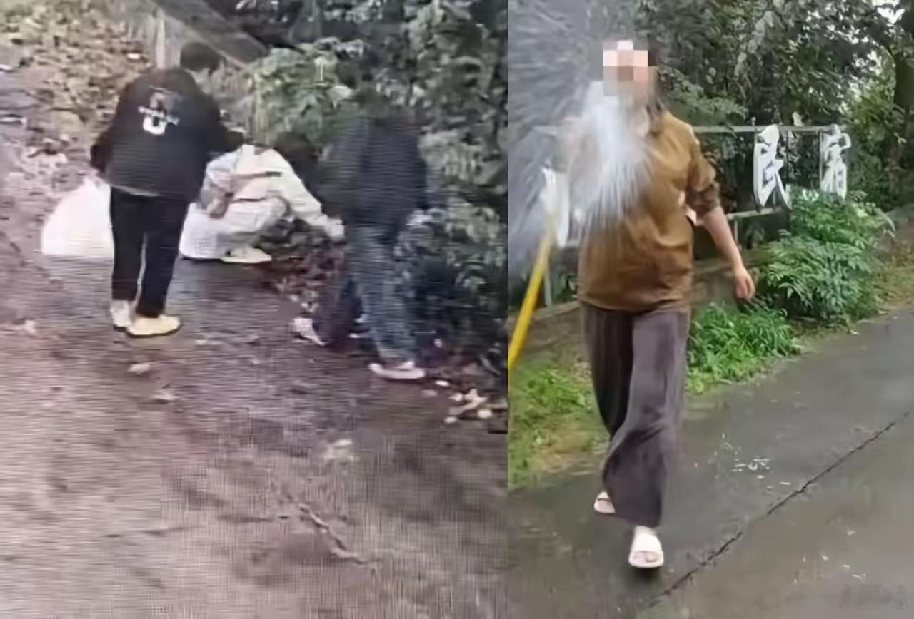 花果山捡板栗后续！景区声明游客并没有偷盗，民宿老板说影响生意要起诉游客！​​​​