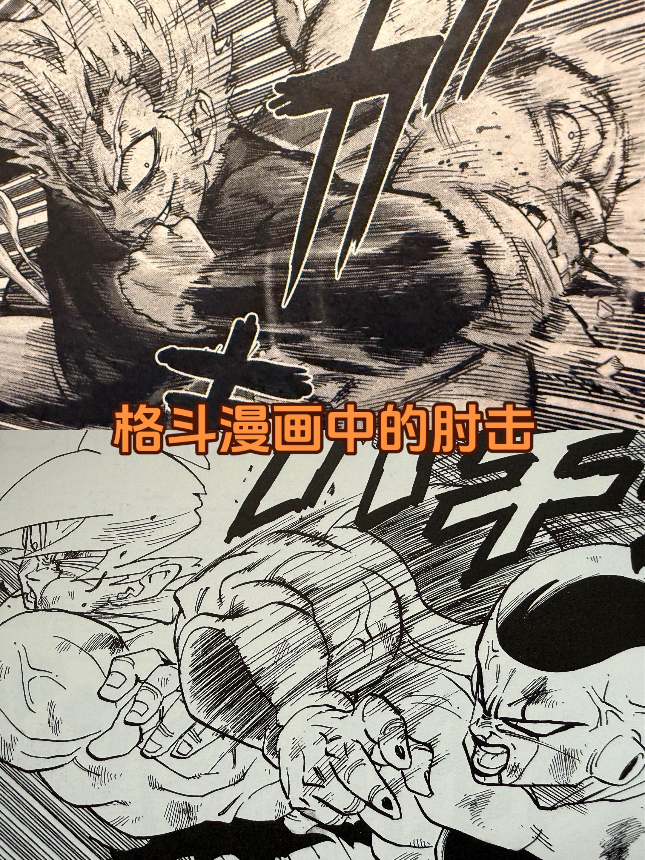 为什么称《龙珠》是格斗漫画教科书。