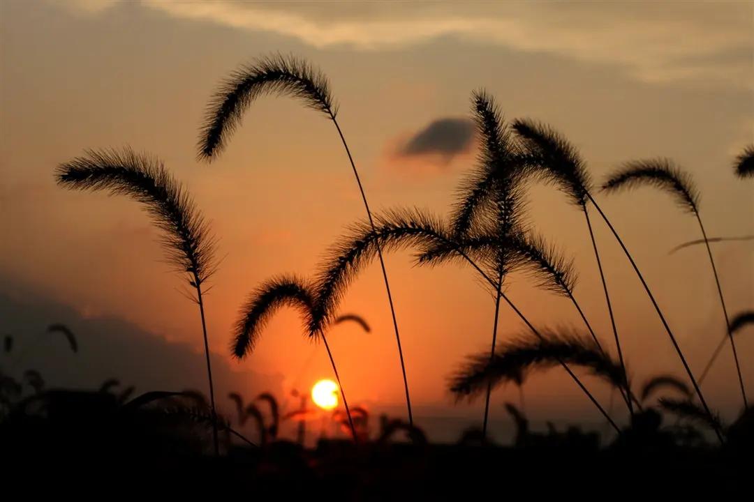 别再说穷为什么要生那么多个孩子了。一个普通家庭，她的丈夫挣的钱不多，每月顶天就