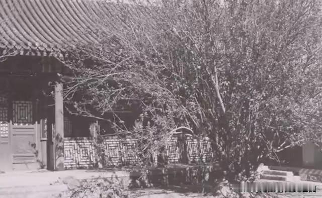 1959年秋，有关部门派人来到吴家花园，邀请彭老总参加国庆十周年大典。彭老总摇了