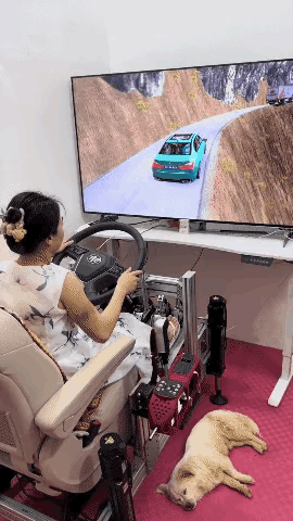 幸亏是模拟驾驶，不然就酿成大祸了！！！