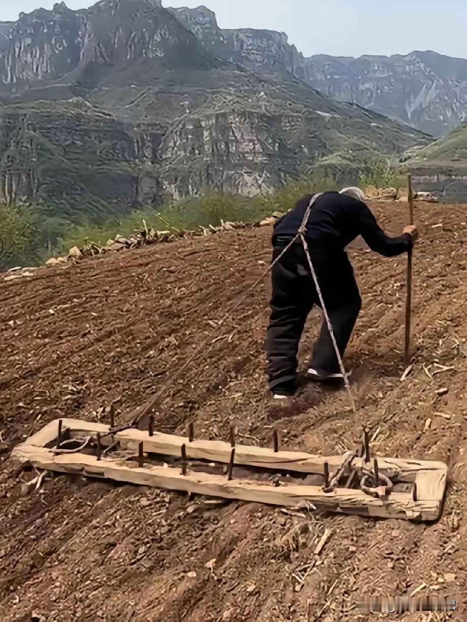 老爷爷太不容易了，好想去帮帮他[哭哭]