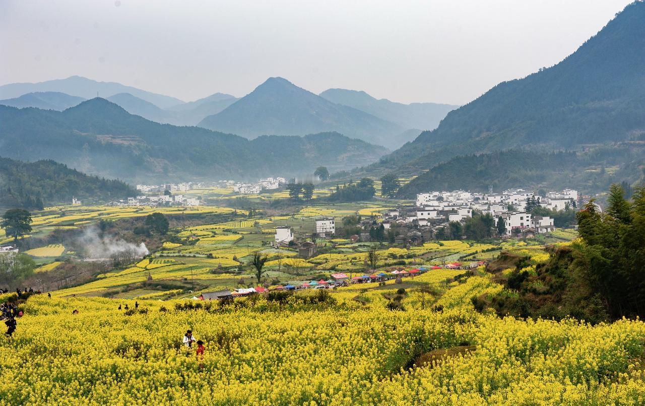 你要打击的是那些社会上的不良风气，比如说有一些老师在学校不好好工作，然后私底下开