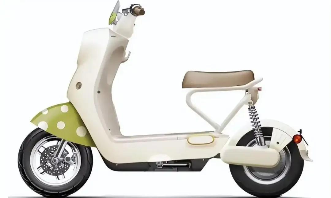 新新国标电动车一上市，大伙都赶着趟上来黑它卖得贵，不能带娃，不