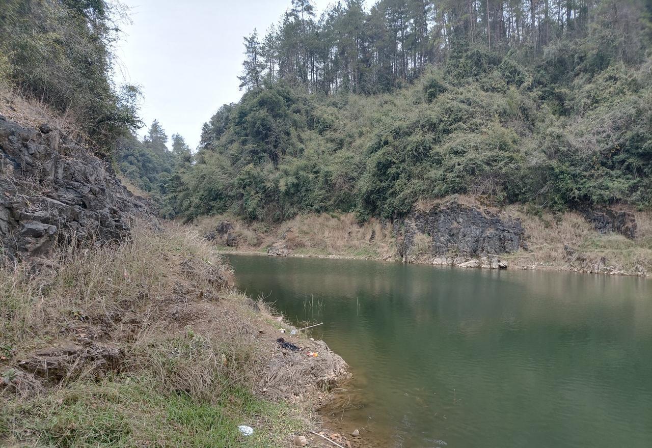 别骂降温天钓不到鱼，是你把鱼惊跑了。真正的高手，此刻正把竿子扎进山体水库的背风