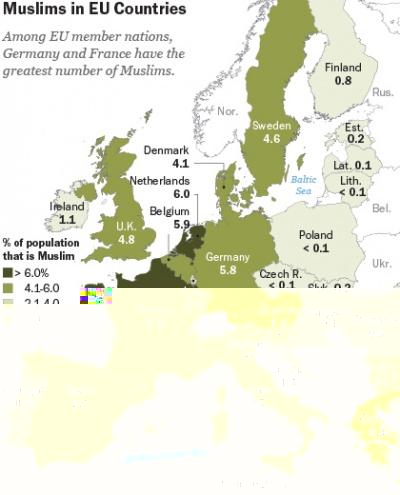 中国穆斯林人口_法国穆斯林人口出生率