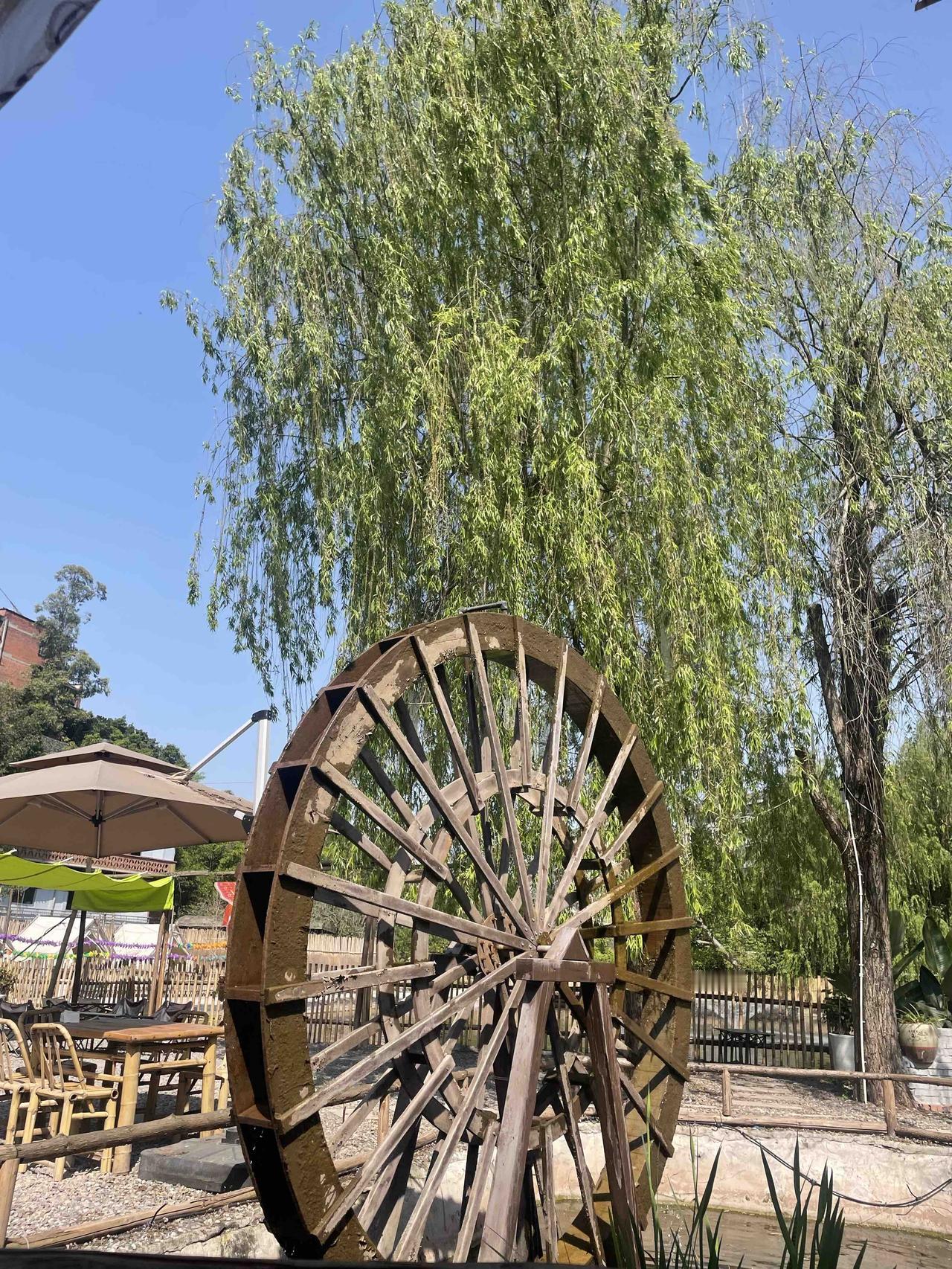 职场最恶心的真相：干活的永远背锅，甩手掌柜全拿好处！你有没有遇见过这种离谱管