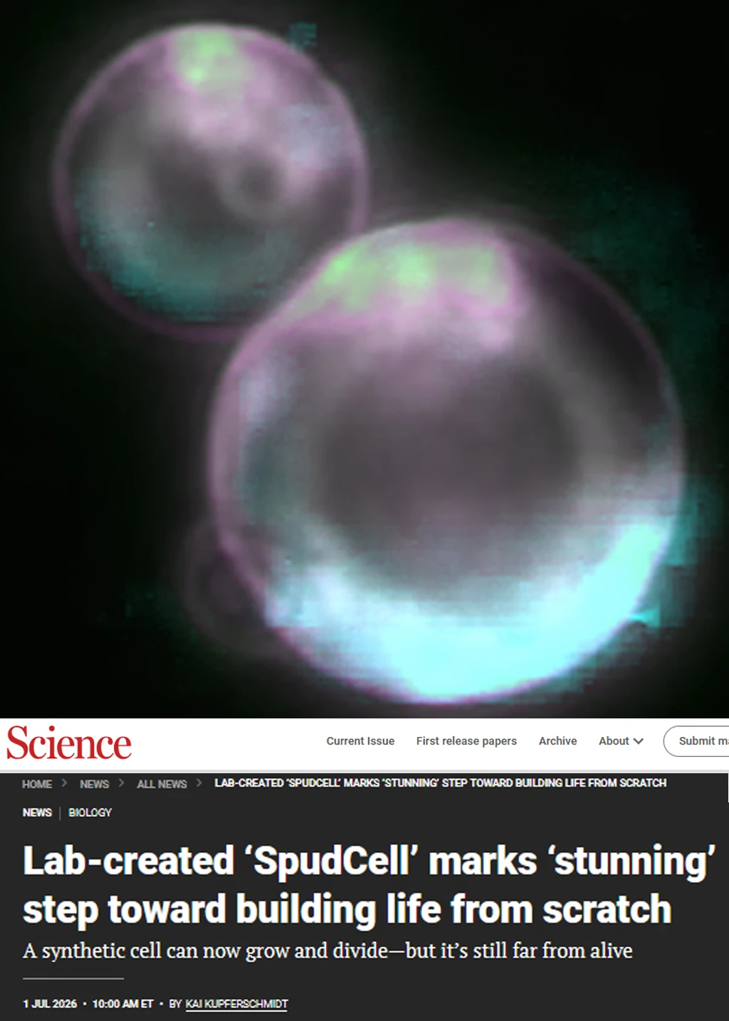 Science重磅-人类首次合成细胞从头构建生命