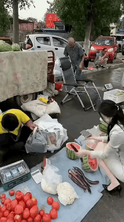 这西瓜真好看[无奈吐舌]