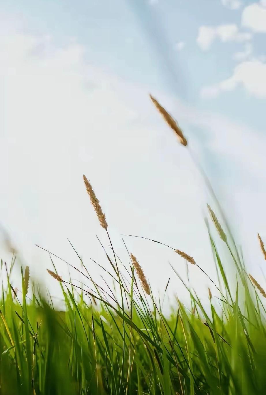 性学专家说：“女人再好，哪怕跟你穿一条裤子、睡一个被窝，男人心里也得有杆秤。不