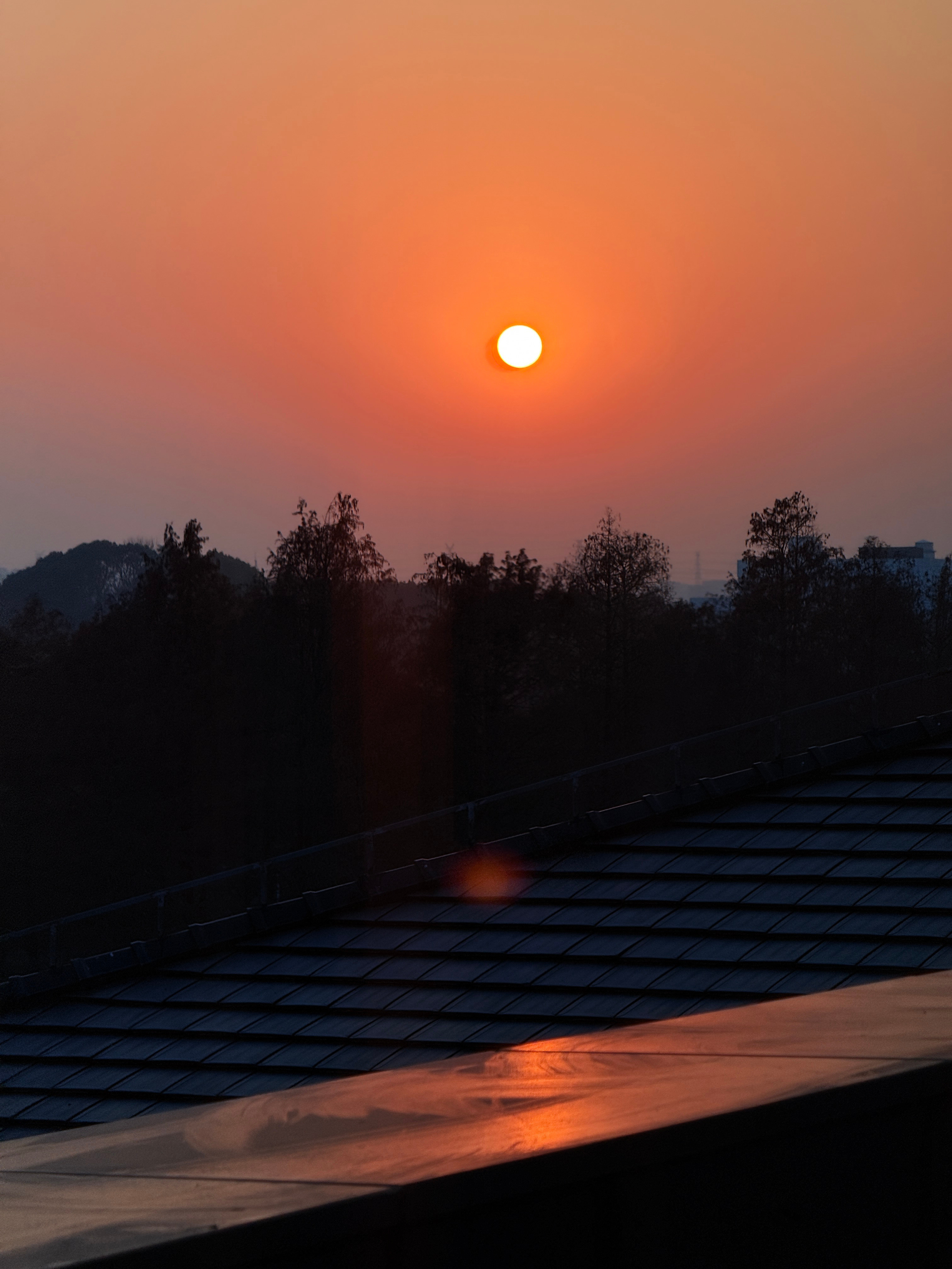 日落尤其温柔…