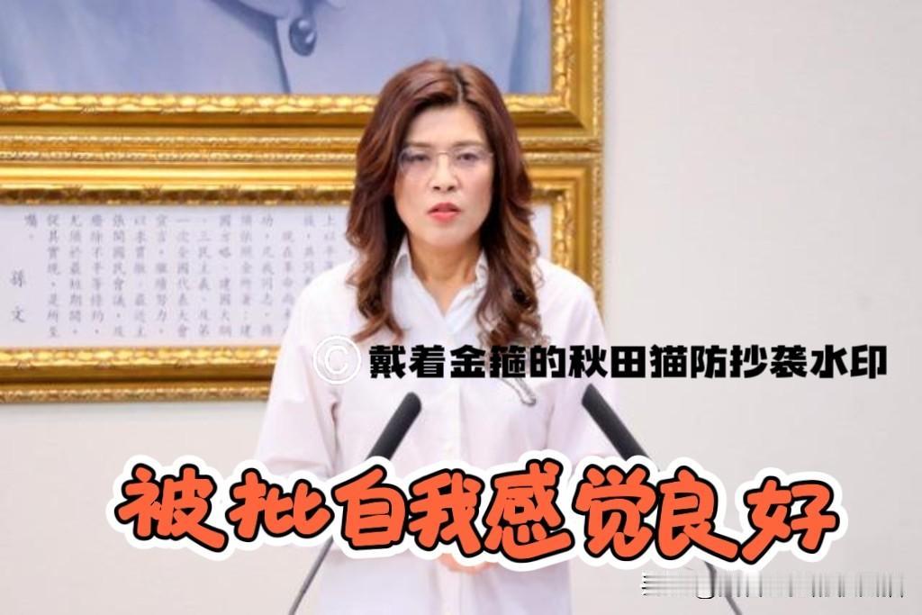 遭批“自我感觉良好”郑丽文被吴子嘉称为“败票女王”，陈以信公开回应：这是民进党