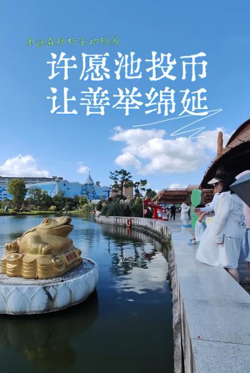 真没想到，南通动物园彻底慌了，好不容易把许愿池的金币捐了，现在又要满了！有