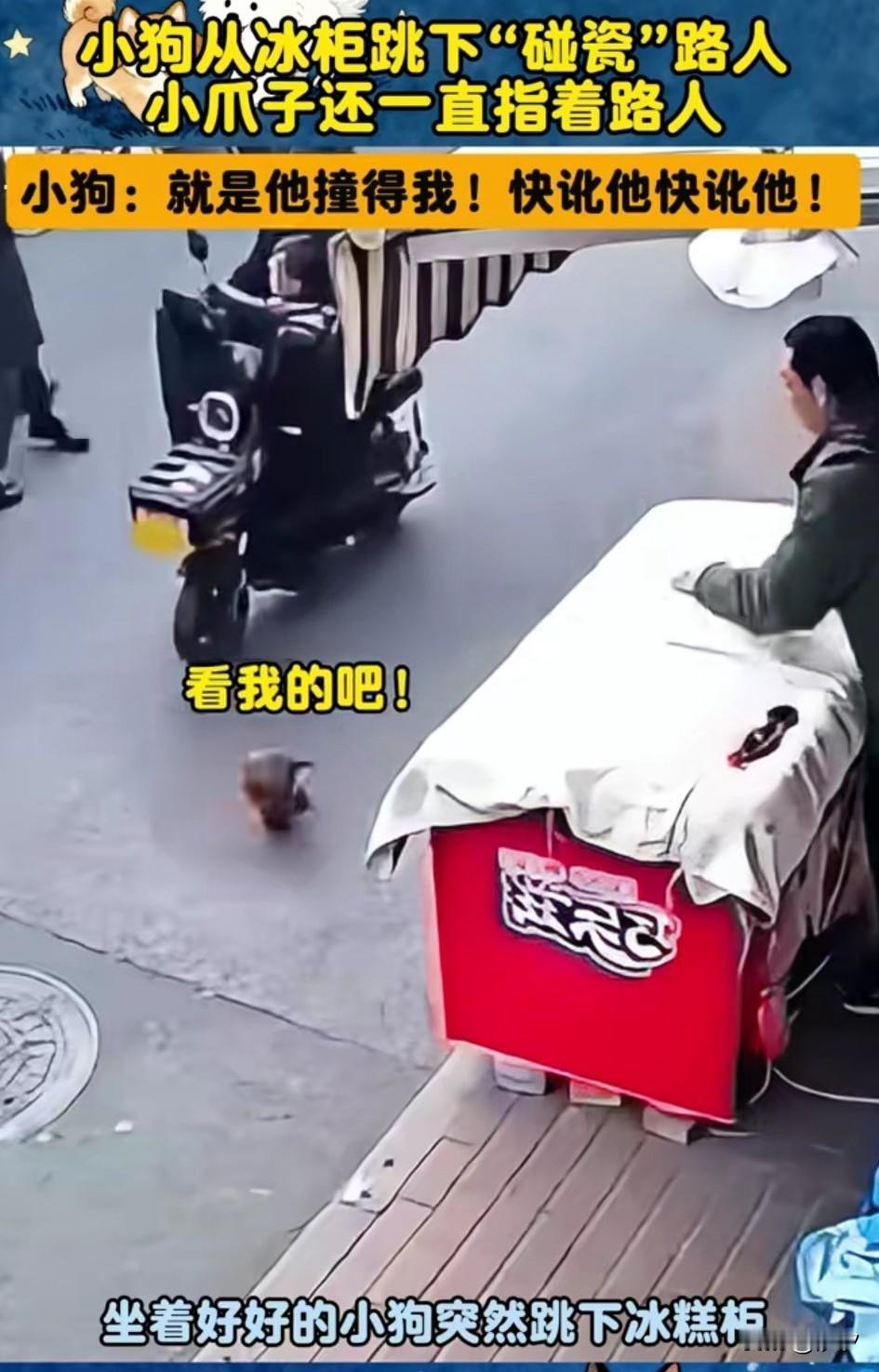 一辆电动车从冰柜面前走过，冰柜上的小狗演技爆棚，直接跳向了电动车，电动车多